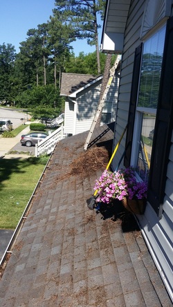 Gutter cleaning Stevensville,MD