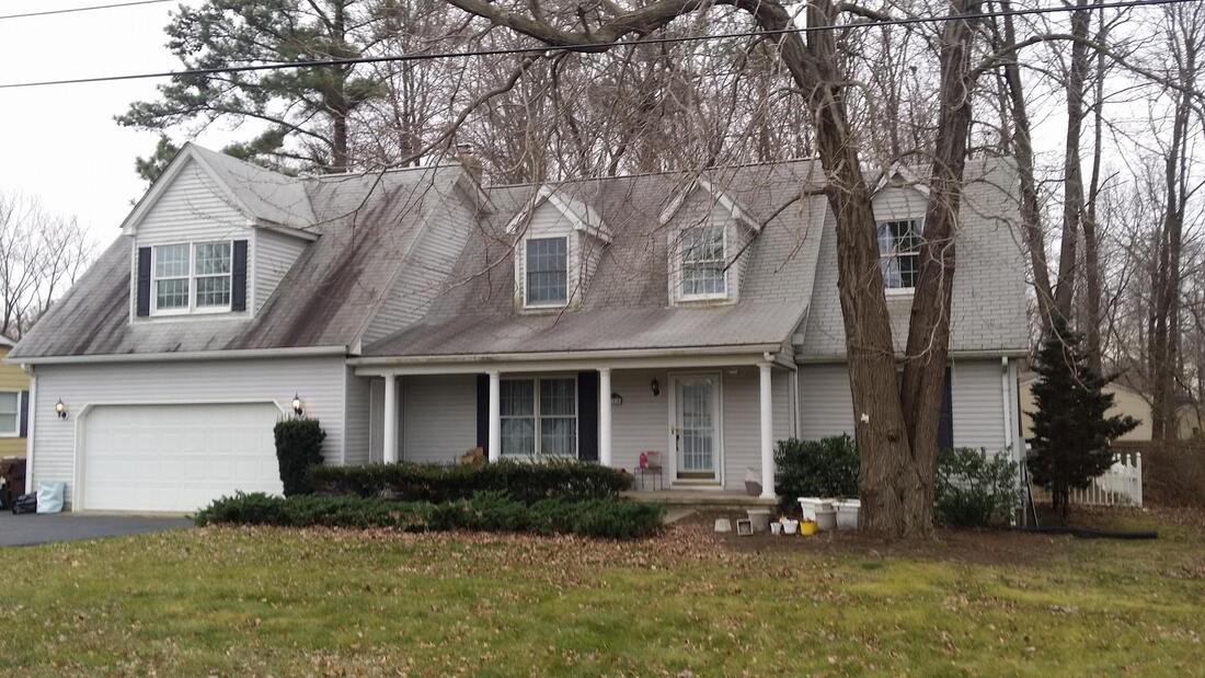 Black streaks on roof in Chestertown Maryland